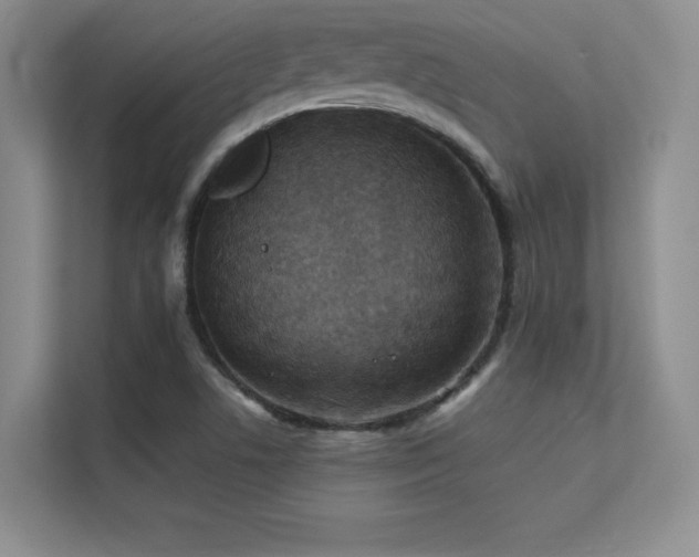 X0000112391506200908131538