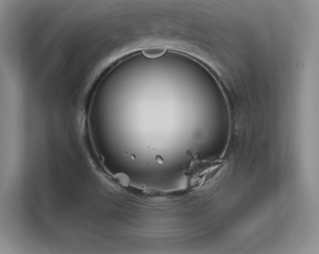 X0000112391507200908131538