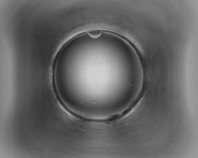 X0000112391508200908131538