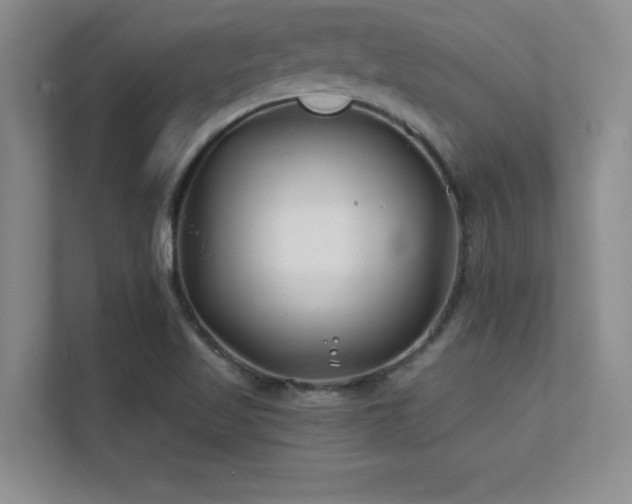 X0000112391509200908131538