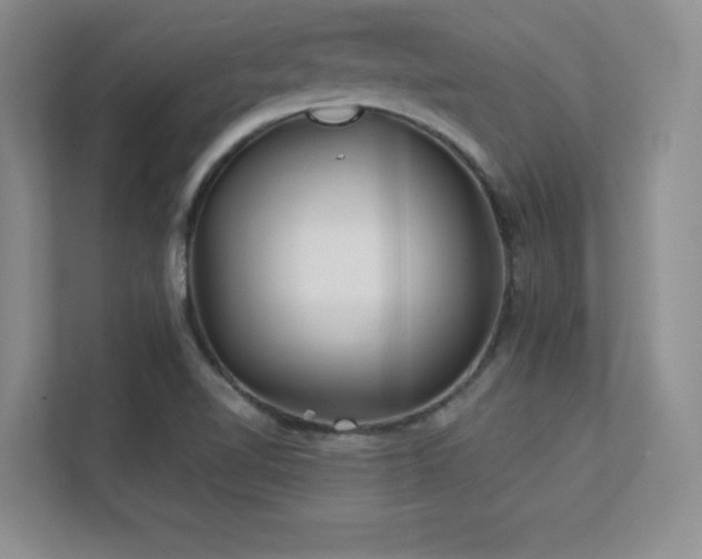 X0000112391510200908131538