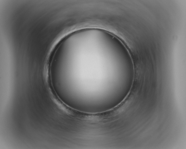 X0000112391511200908131538