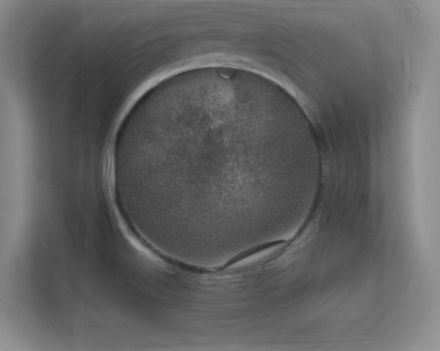 X0000112391515200908131538