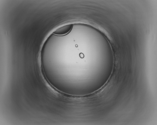 X0000112391516200908131539