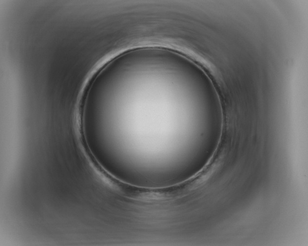 X0000112391517200908131539