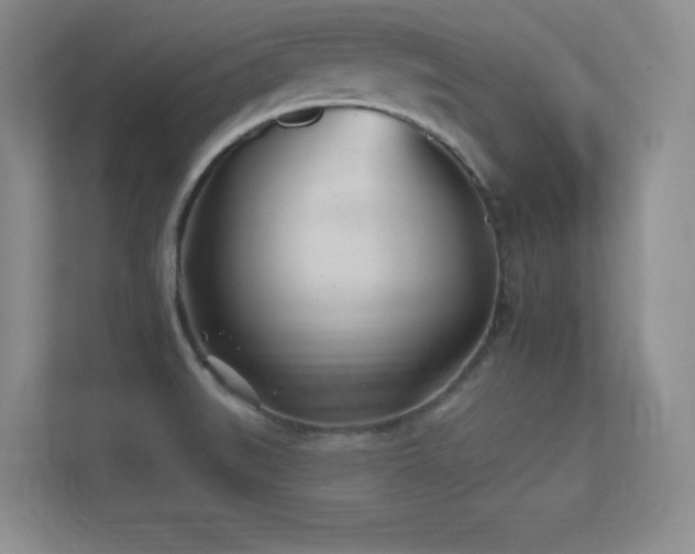 X0000112391519200908131539