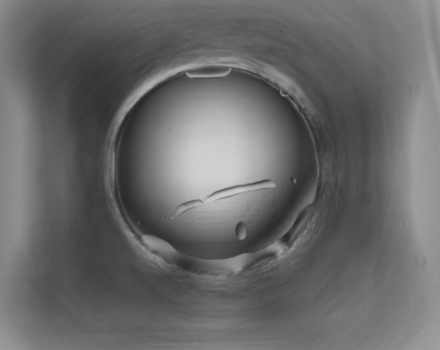 X0000112391520200908131539