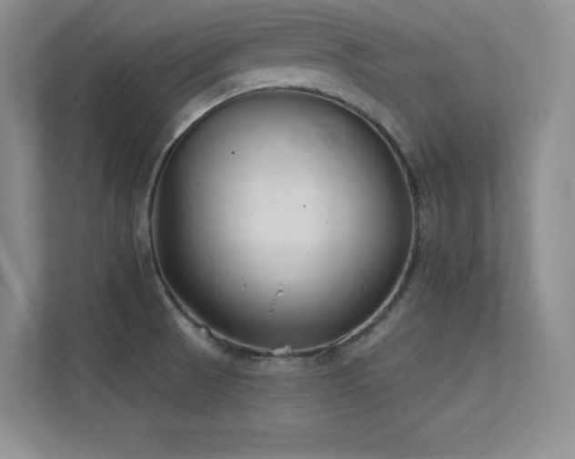 X0000112391521200908131539