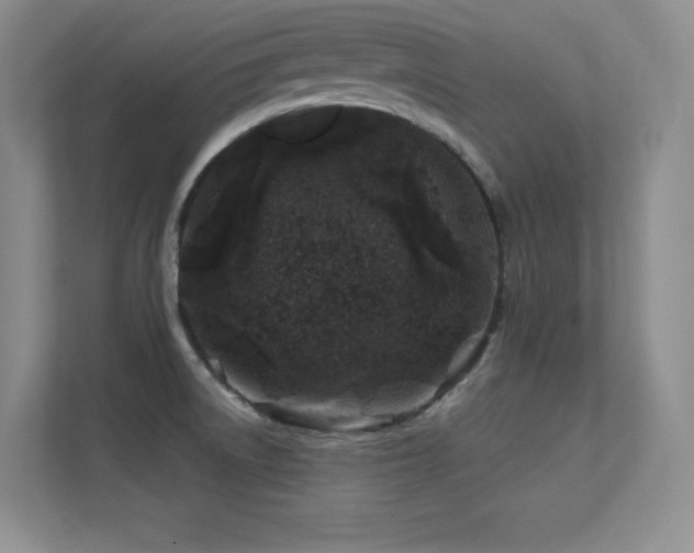 X0000112391522200908131539