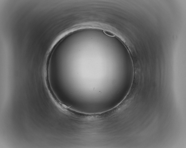 X0000112391523200908131539