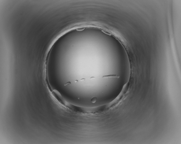 X0000112391524200908131539