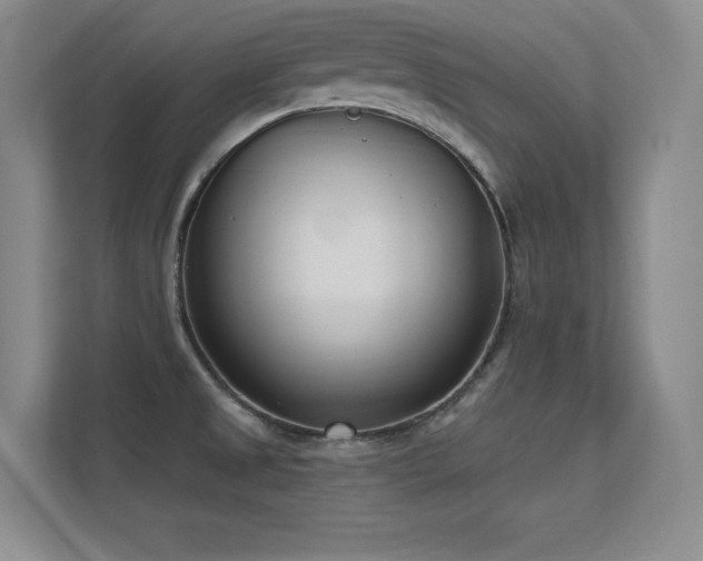 X0000112391525200908131539