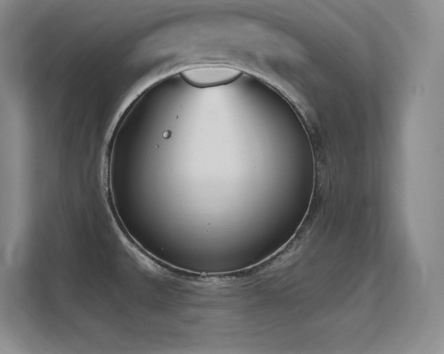 X0000112391527200908131539