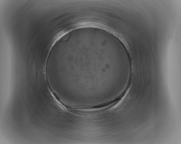 X0000112391529200908131539