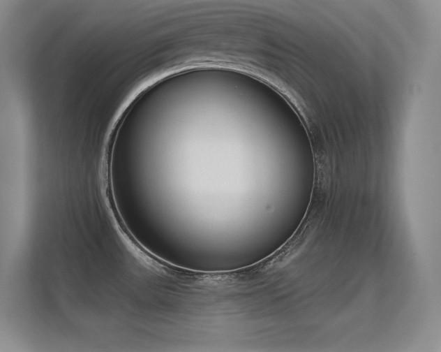 X0000112391531200908131539