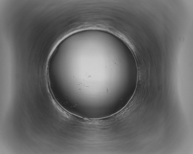 X0000112391532200908131539