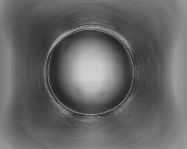 X0000112391533200908131539