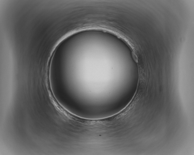 X0000112391534200908131539