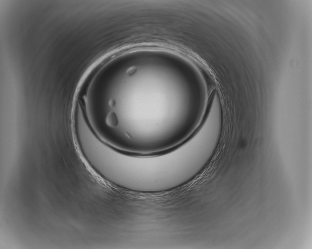 X0000112391536200908131539