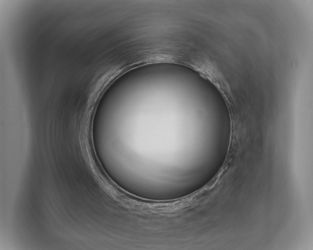 X0000112390001200908201551