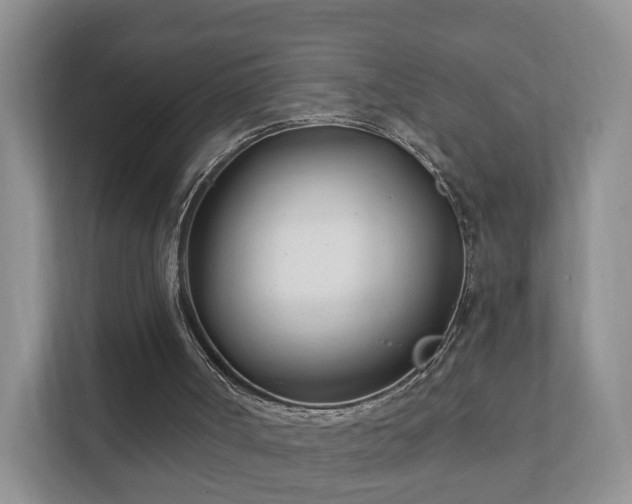 X0000112390002200908201551