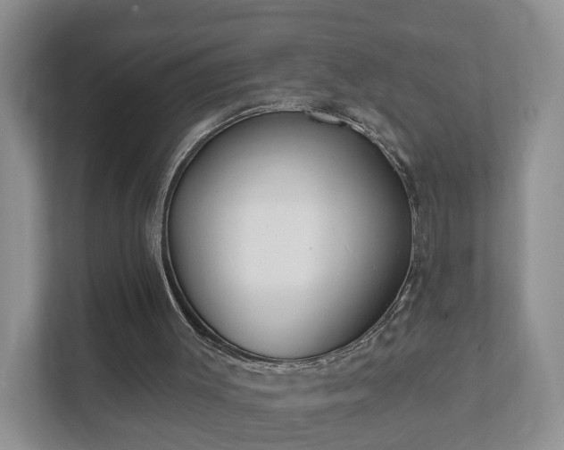 X0000112390003200908201551