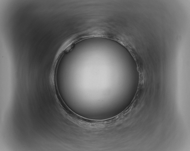 X0000112390004200908201551