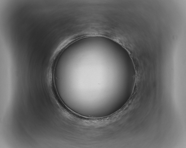 X0000112390005200908201551