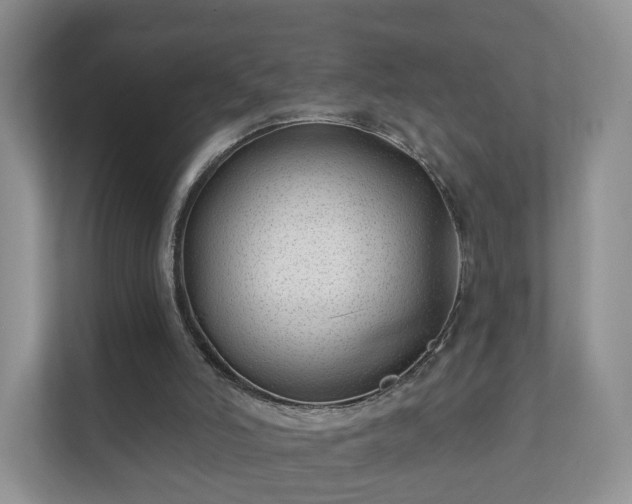 X0000112390006200908201551