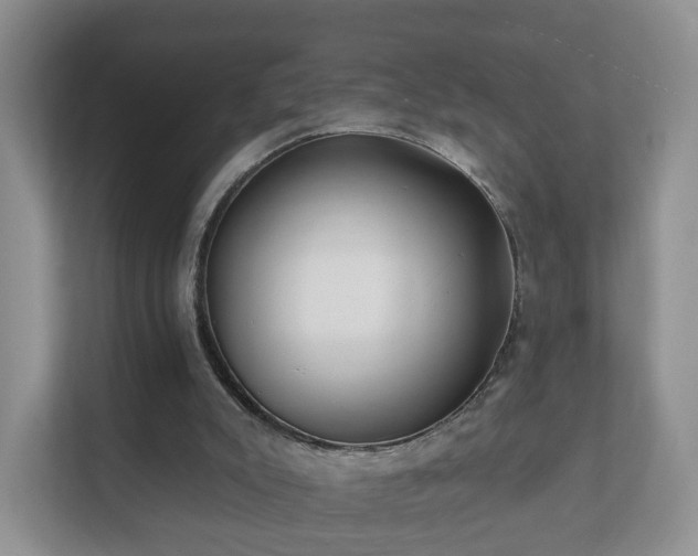 X0000112390007200908201551