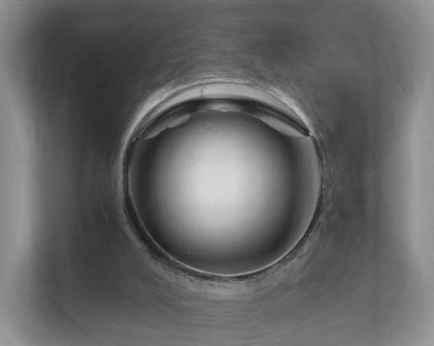 X0000112390008200908201551