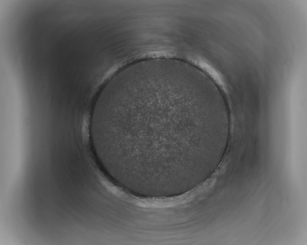 X0000112390009200908201551