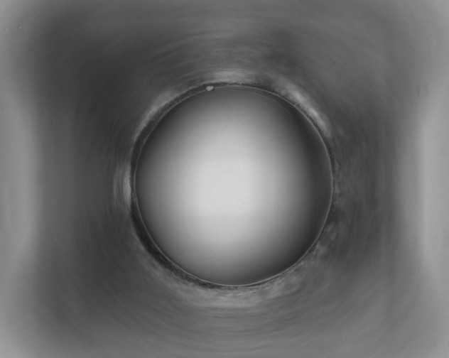 X0000112390011200908201551