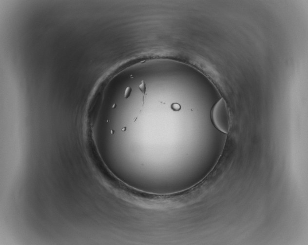 X0000112390012200908201551