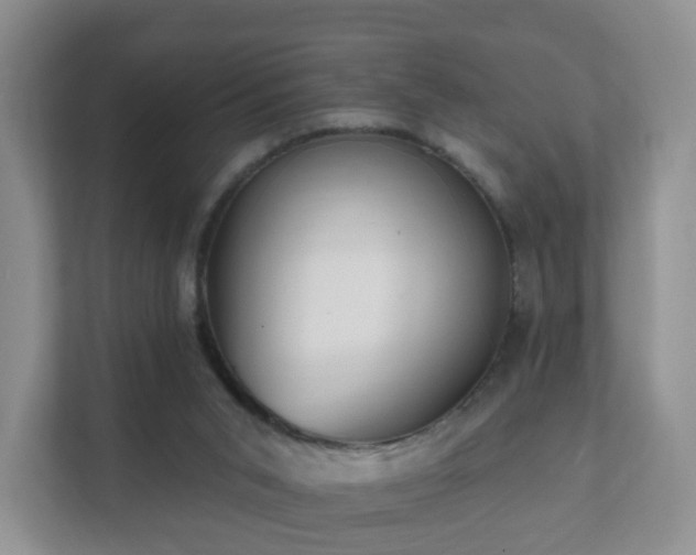 X0000112390015200908201551