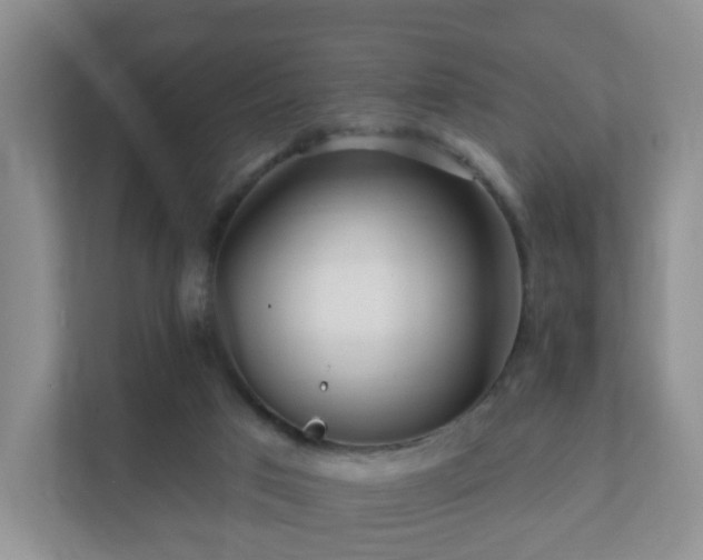 X0000112390017200908201551