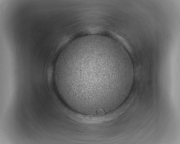 X0000112390018200908201551