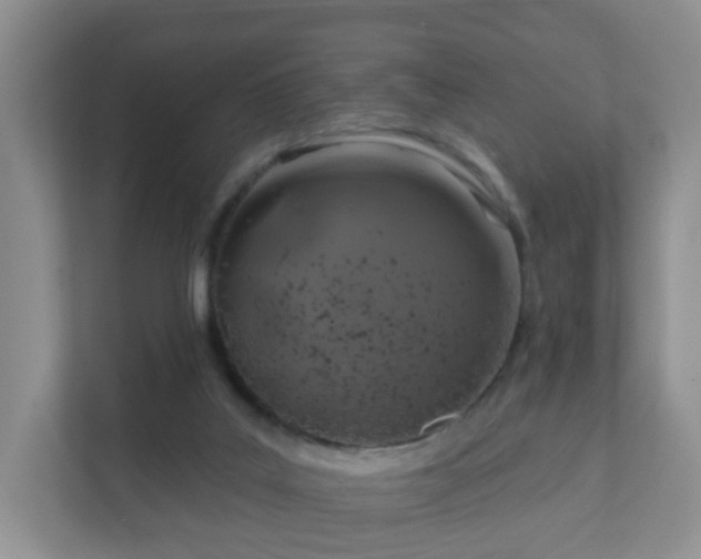 X0000112390019200908201551