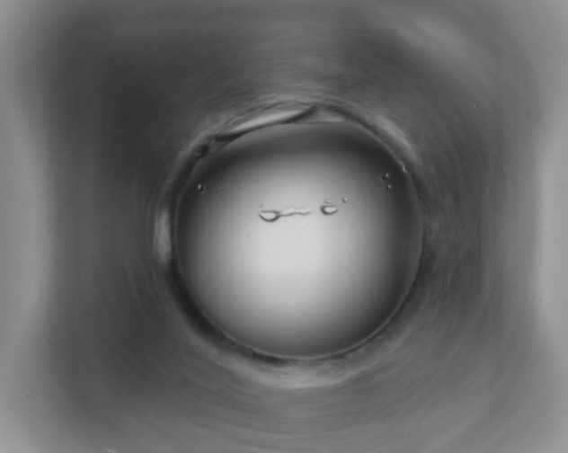 X0000112390020200908201551