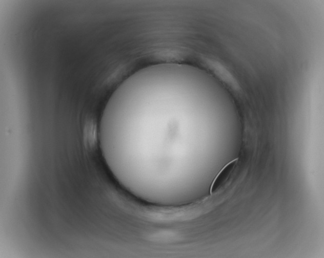 X0000112390021200908201551