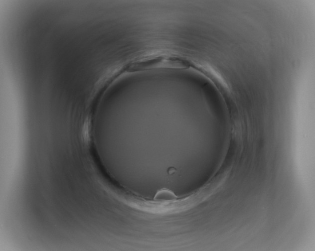 X0000112390023200908201551