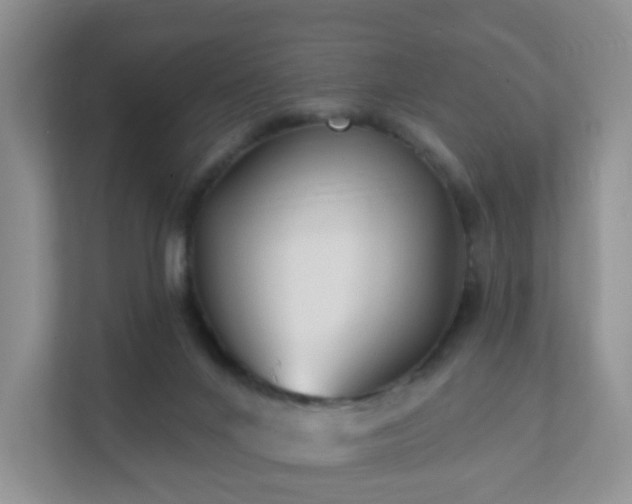 X0000112390024200908201551