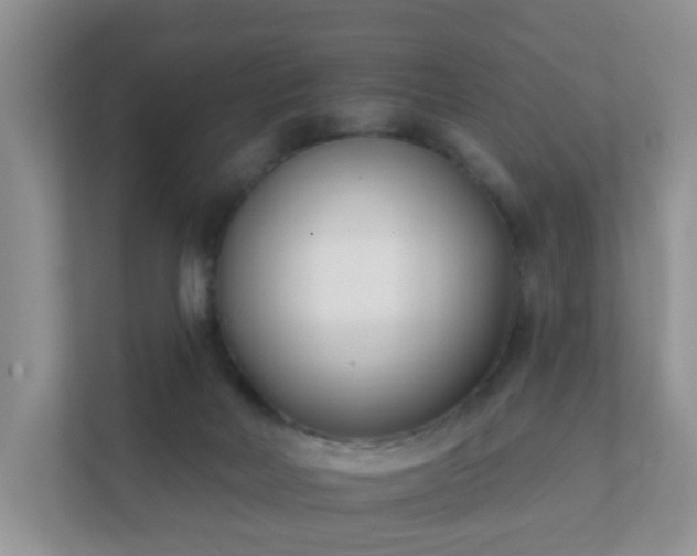 X0000112390026200908201551