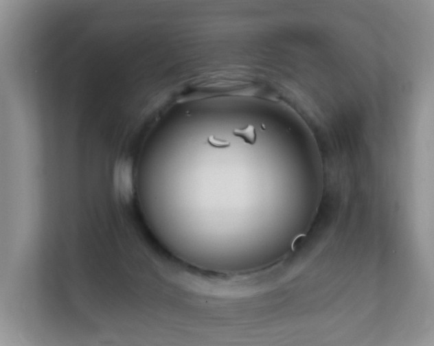 X0000112390028200908201551