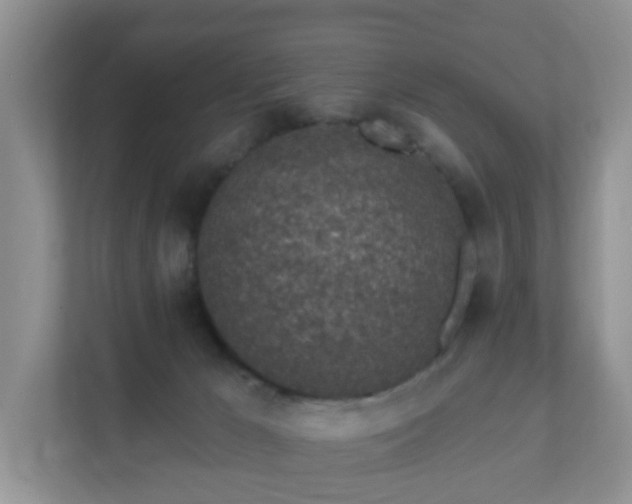 X0000112390029200908201551