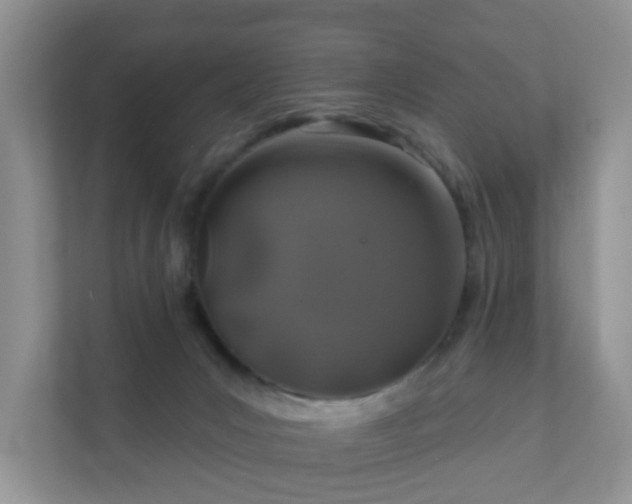 X0000112390031200908201551