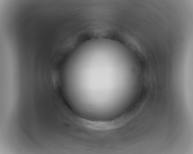 X0000112390034200908201551