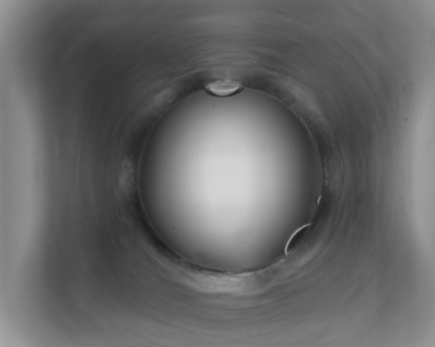 X0000112390036200908201551