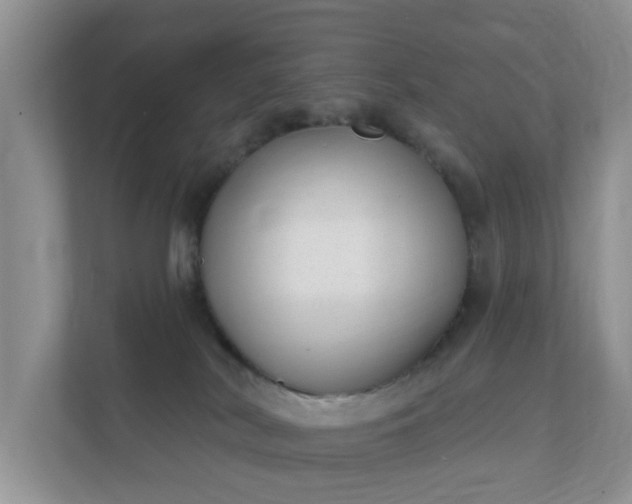 X0000112390038200908201551