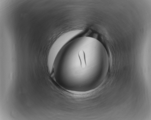 X0000112390039200908201551